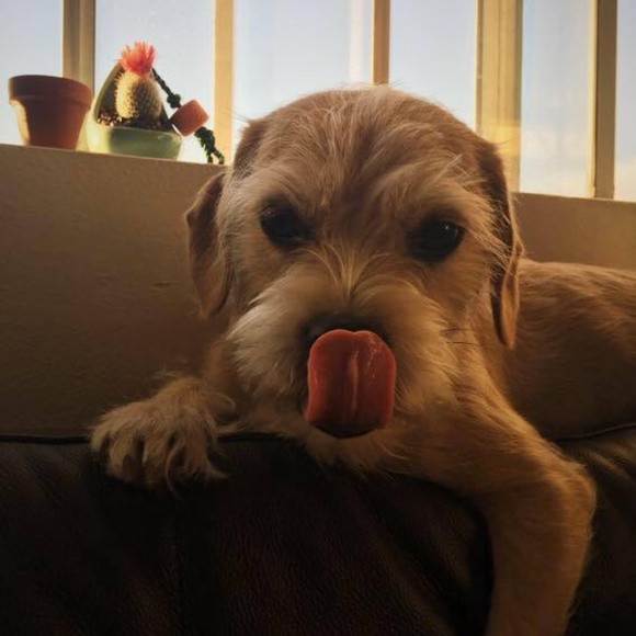 ELLERLA ☀ - Picture 5 of 6